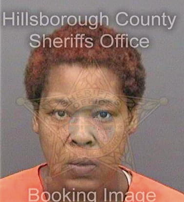 Mcdonald Tabatha - Hillsborough County, FL 