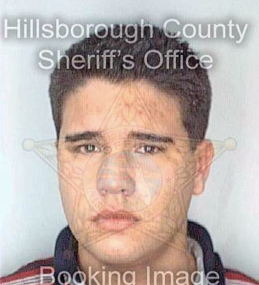 Mckinley Michael - Hillsborough County, FL 
