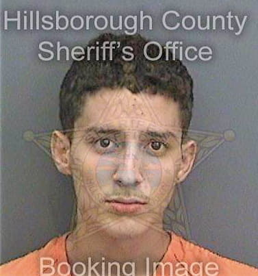 Escobio David - Hillsborough County, FL 