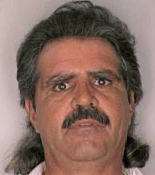Boldug William - Hillsborough County, FL 