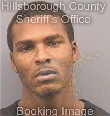 Simmons Akeem - Hillsborough County, FL 