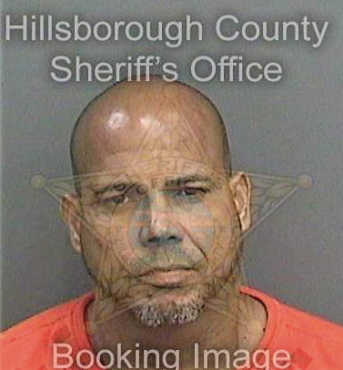 Melendez Hector - Hillsborough County, FL 