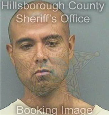 Martinez Juan - Hillsborough County, FL 