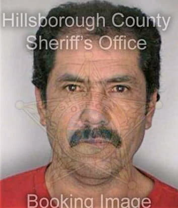 Garcia Jose - Hillsborough County, FL 