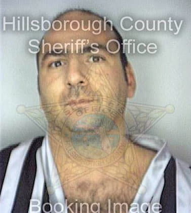 Papazis Emanuel - Hillsborough County, FL 