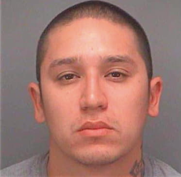Avalos Andres - Pinellas County, FL 