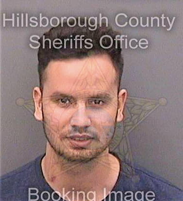 Corralestovar Nils - Hillsborough County, FL 