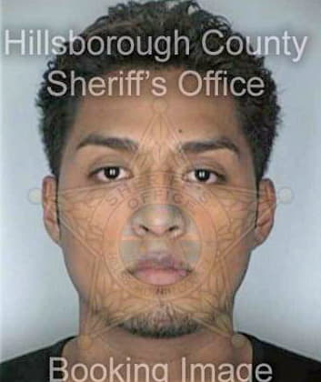 Jimenez Martin - Hillsborough County, FL 