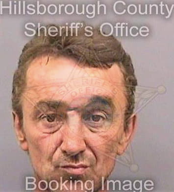 Dimitrijevic Slobodan - Hillsborough County, FL 