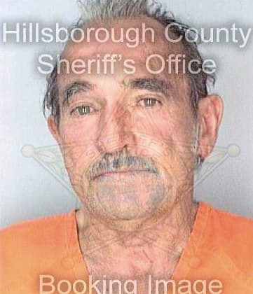 Martin William - Hillsborough County, FL 