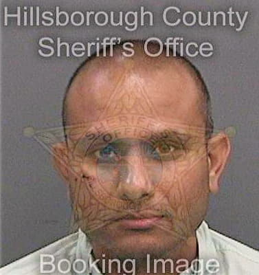 Shah Anand - Hillsborough County, FL 