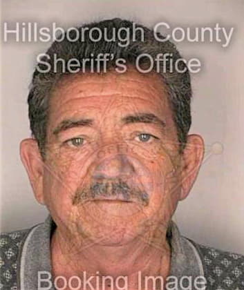 Mcmahan James - Hillsborough County, FL 