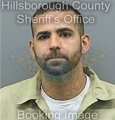 Medina Eddie - Hillsborough County, FL 