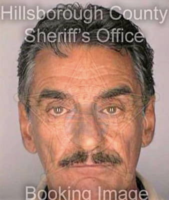 Signorelli Alesandro - Hillsborough County, FL 