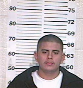 Hernandez Robert - Hidalgo County, TX 