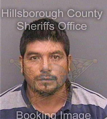 Lugo Jose - Hillsborough County, FL 