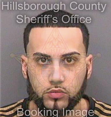 Ribeiro Lucas - Hillsborough County, FL 