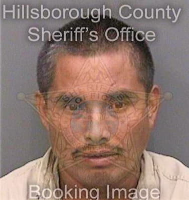 Perezlopez Herman - Hillsborough County, FL 