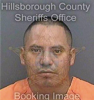 Bautistahernandez Arturo - Hillsborough County, FL 