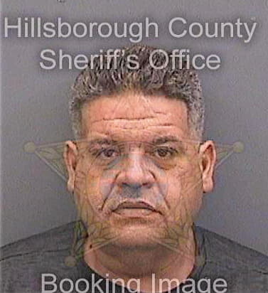 Lopez Cesar - Hillsborough County, FL 