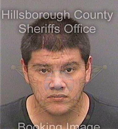 Granado Andres - Hillsborough County, FL 