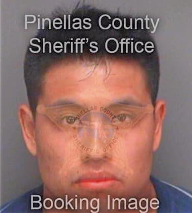 Hernandezbautista Modesto - Pinellas County, FL 