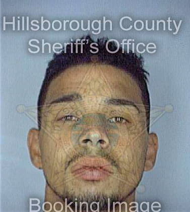 Torres Jose - Hillsborough County, FL 