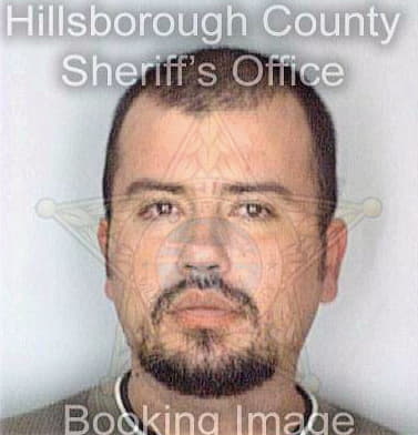 Ramirezrojas Leopoldo - Hillsborough County, FL 