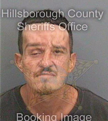 Lopez Jose - Hillsborough County, FL 