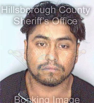 Perez Carlos - Hillsborough County, FL 