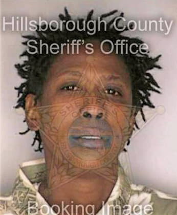 Mcmillan Paulette - Hillsborough County, FL 