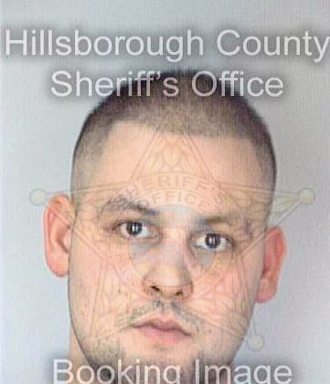 Defilippis Christopher - Hillsborough County, FL 