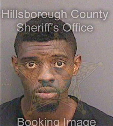 Davis Dwayne - Hillsborough County, FL 