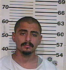 Hernandez Arnulfo - Hidalgo County, TX 