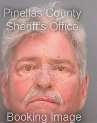 Vidal David - Pinellas County, FL 