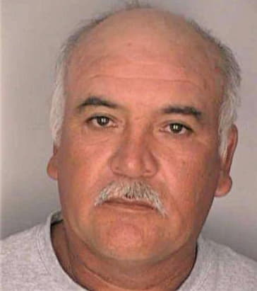 Mendoza Evodio - Hillsborough County, FL 