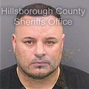 Ocasio Anthony - Hillsborough County, FL 