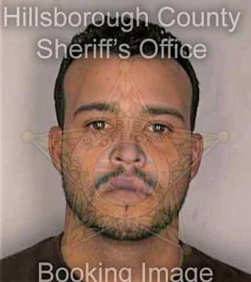 Lopez Agustinell - Hillsborough County, FL 