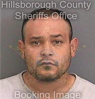 Villfranco Ryan - Hillsborough County, FL 