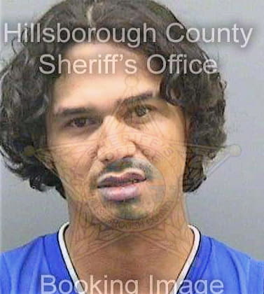 Diazvelasquez Gerson - Hillsborough County, FL 