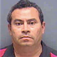 Mellizo Carlos - Lee County, FL 