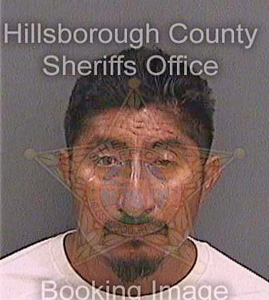 Cruzgonzalez Mario - Hillsborough County, FL 