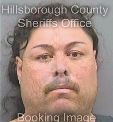 Gonzalez Carlos - Hillsborough County, FL 