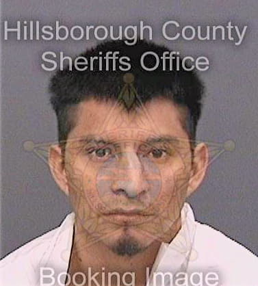 Luis-Juan Andreas - Hillsborough County, FL 