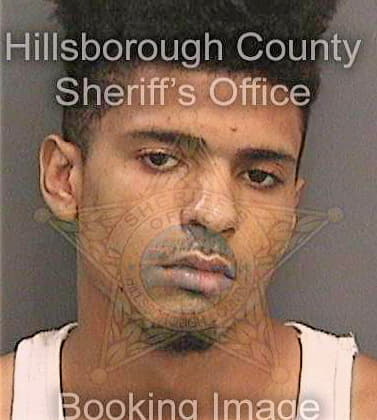 Speight Craig - Hillsborough County, FL 