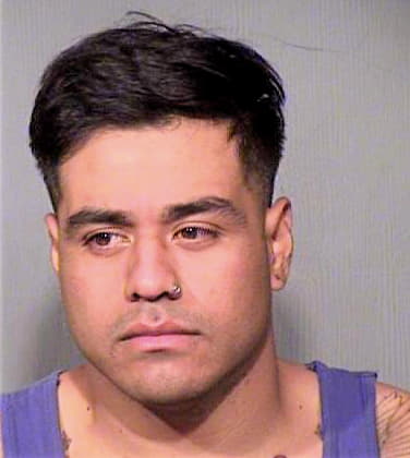 Nicolas Elvin - Maricopa County, AZ 