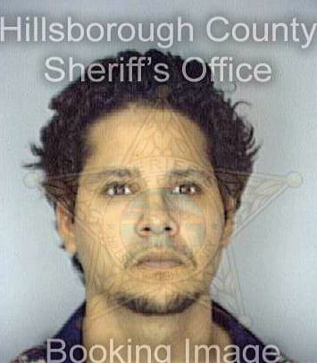 Nunez Anthony - Hillsborough County, FL 