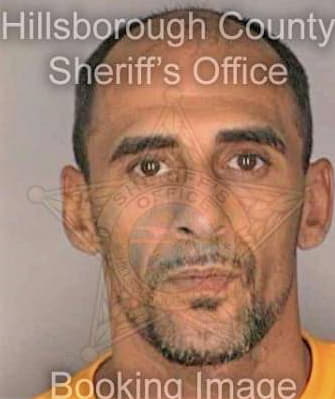Millan Carlos - Hillsborough County, FL 