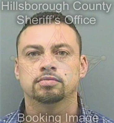 Cazaz Alexander - Hillsborough County, FL 