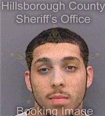 Deshesky Justin - Hillsborough County, FL 